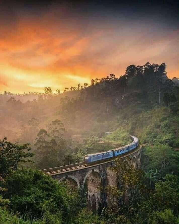 Ultimate Sri Lanka Explorer