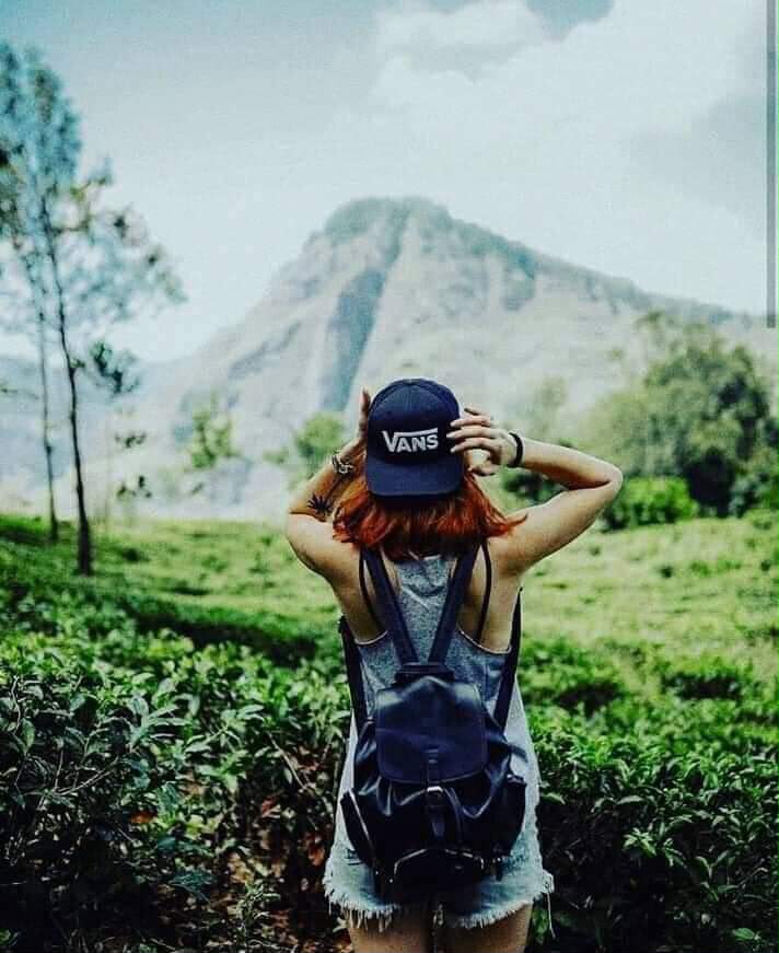 Wildlife Safari Adventure