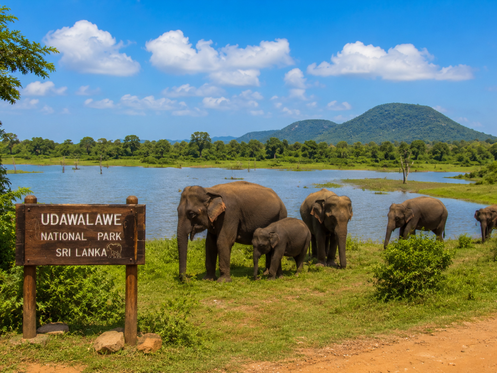 Udawalawe Sri Lanka